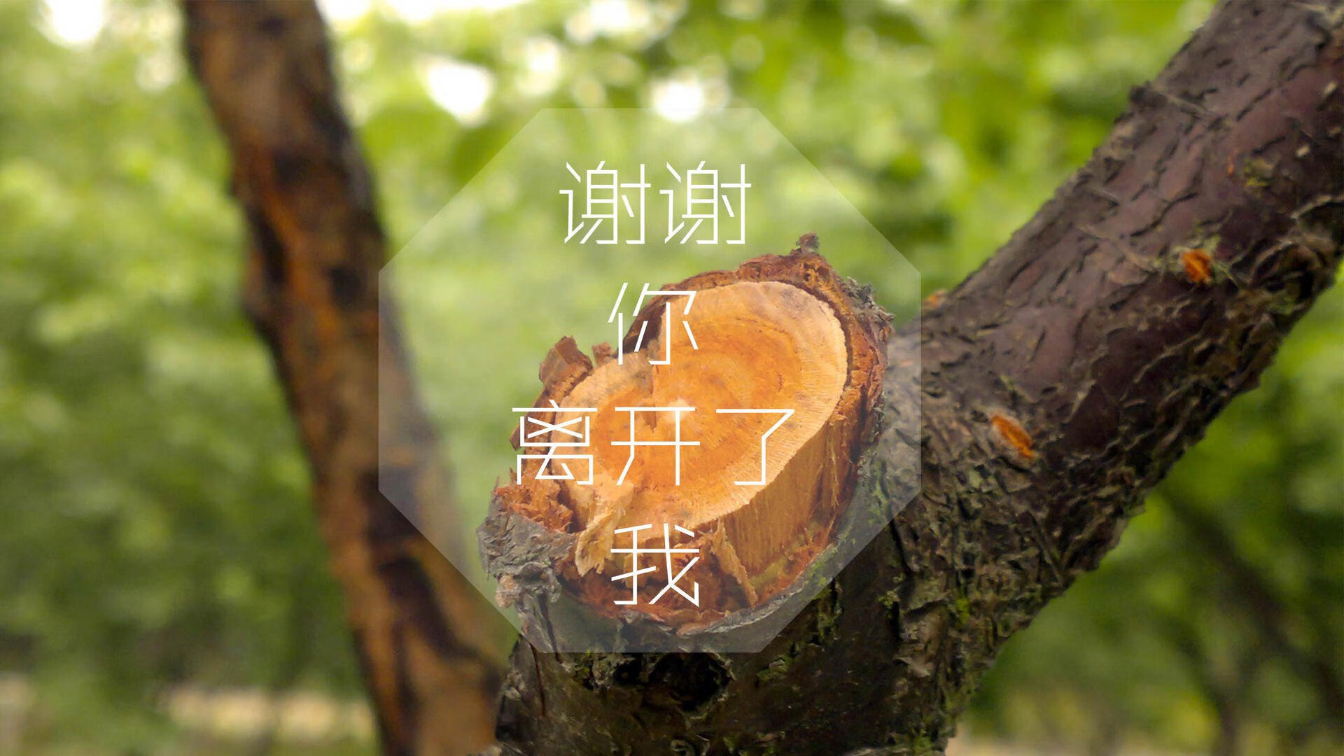 FB体育在线直播平台-“投篮大赛：联盟顶级远距离投手盘点”，近距离投篮