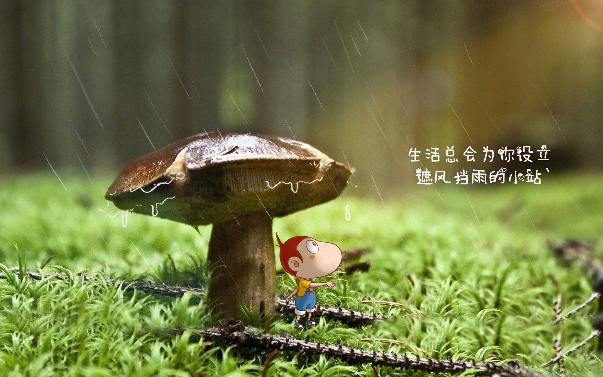 fb体育在线官网-运动员的成长故事：从平凡到冠军，运动员的成长故事_从平凡到冠军的故事