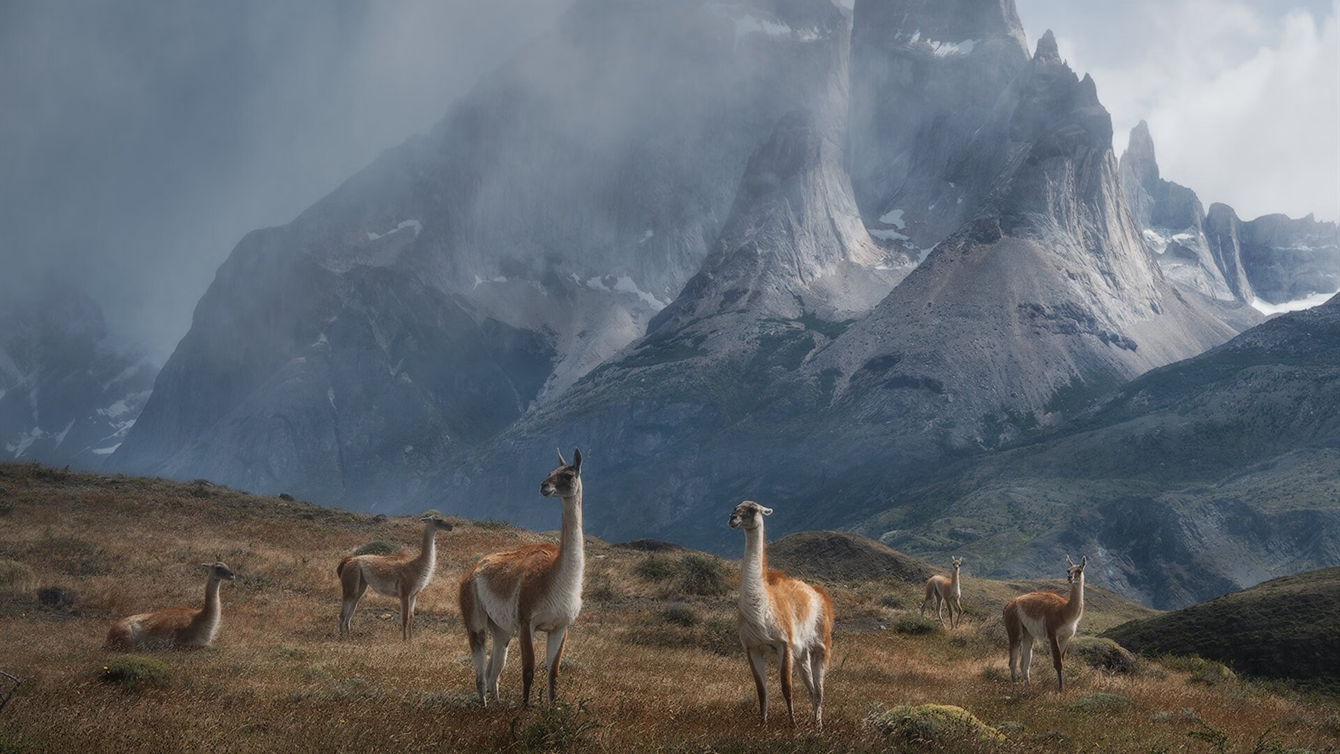 FB体育登录入口-奥地利终结瑞士连胜 攻势猛狠唤醒欧预赛雄心,瑞士和奥地利足球