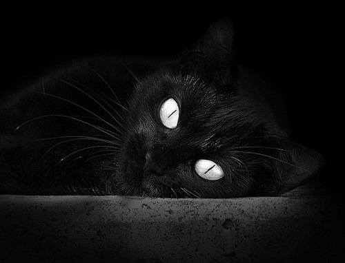 FB体育APP-天津荣钢年轻球员竞技水平提升，cba天津荣钢