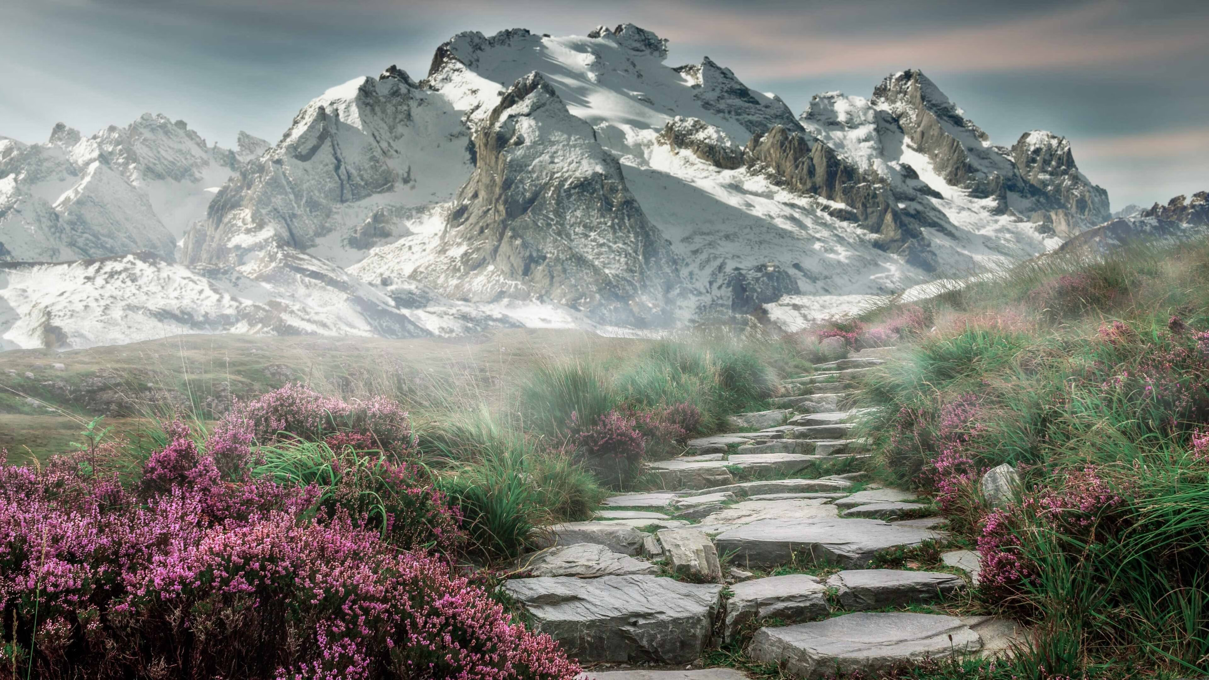 FB体育下载-意大利足球比赛推出新赛季主题活动，吸引关注，意大利足球队比赛