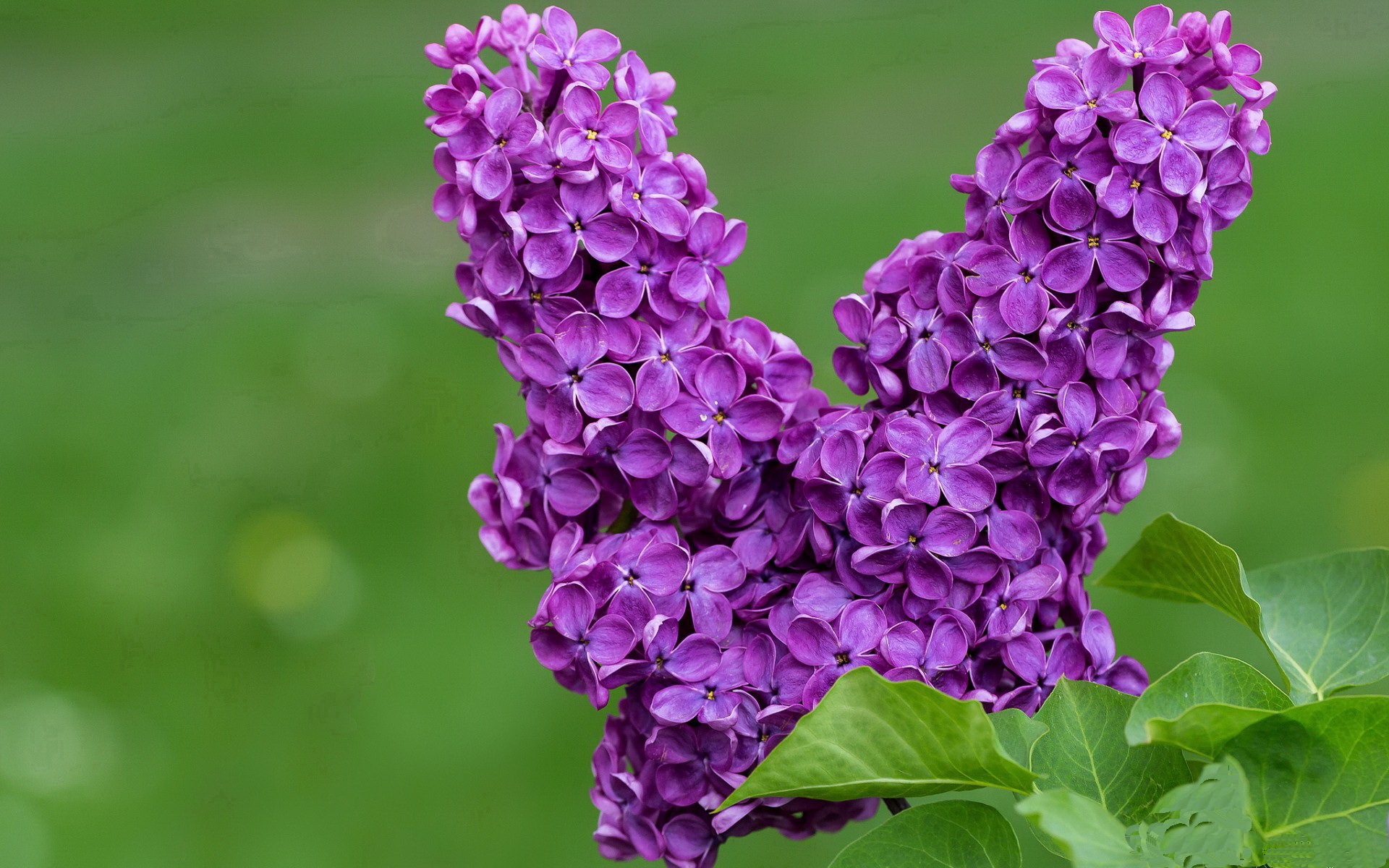 FB体育在线直播平台-日本男足拼搏精神感染全场!,日本男子足球队