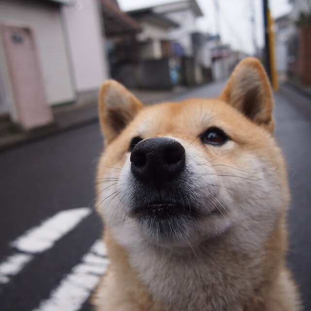 FB体育在线直播平台-杜兰特高效得分篮网主场奏凯,杜兰特篮网篮球队