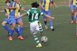 fb体育在线官网-中国足球赛事直播流量与关注度指数追踪，中国足球关注度数据