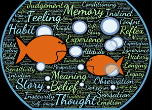 FB体育网站-大学生运动行为与自我效能感的交互关系研究,运动自我效能感量表