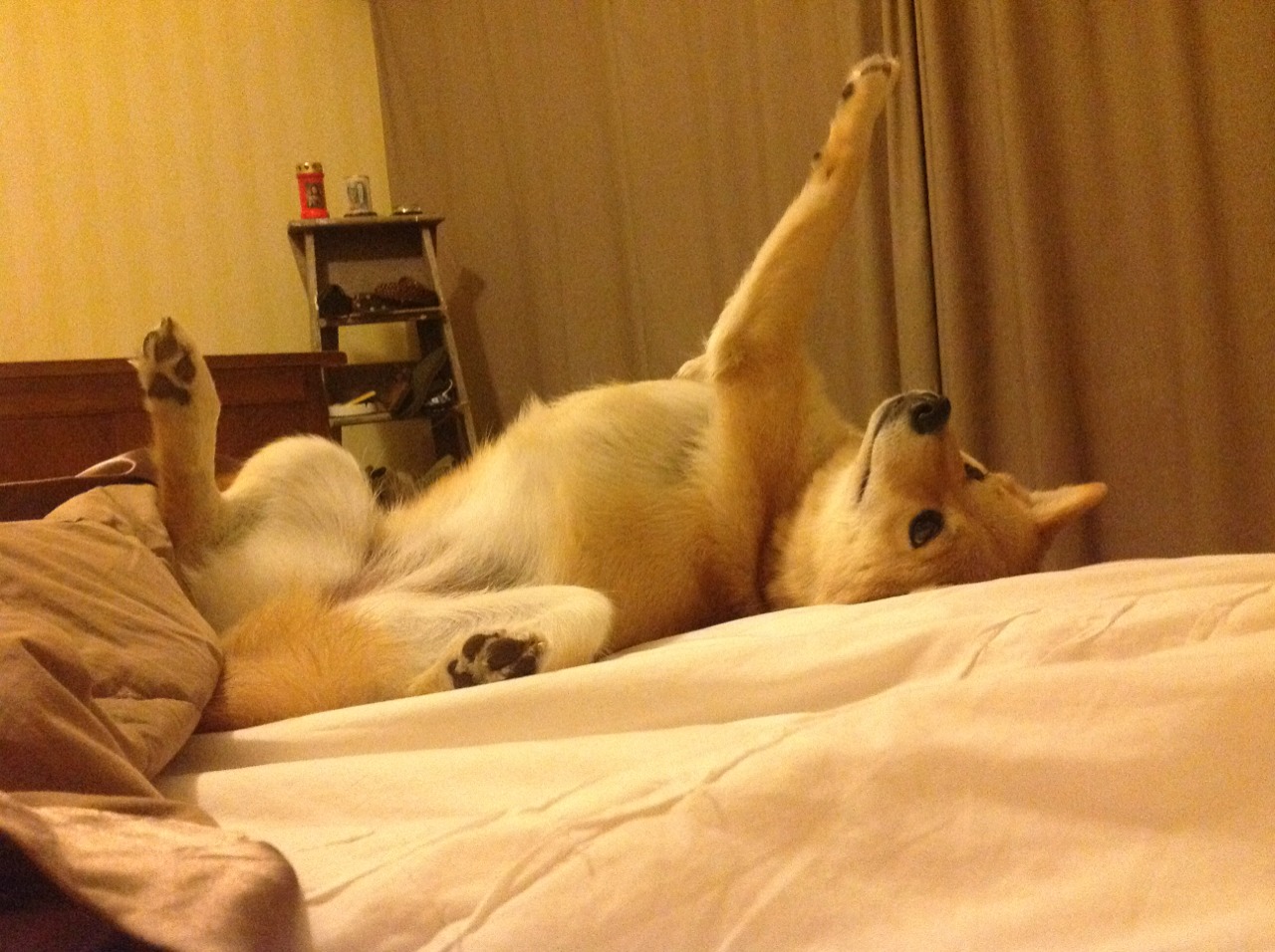 FB体育登录入口-法甲VAR语义协同平台降低因语言误读导致的误判概率