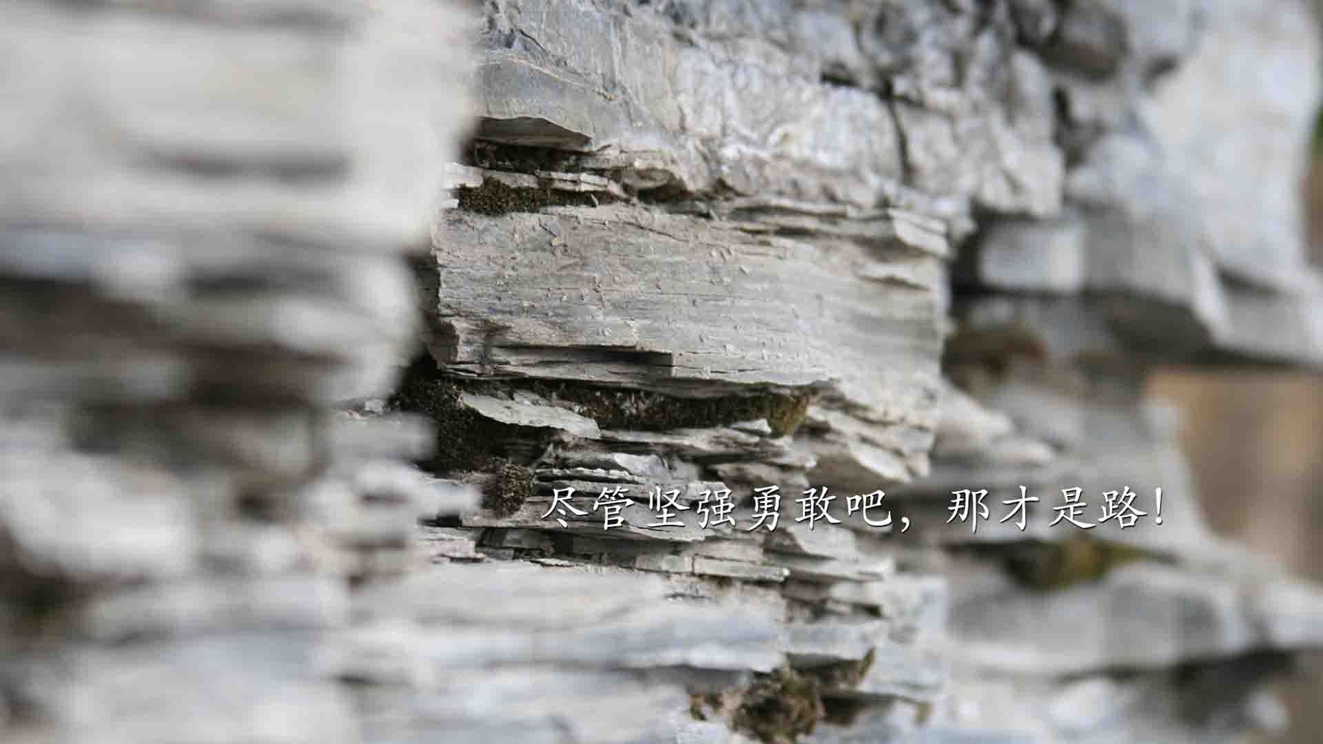 FB体育官网平台-英超裁判基于语义分析技术提升比赛判罚一致性研究,英超裁判有哪些