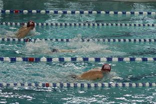 FB体育网站-“世界游泳锦标赛：2025新加坡赛场泳池掀起速度与优雅的碰撞”