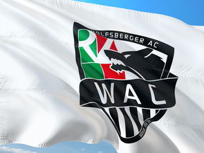 fb体育网址-“东部新区赛场,腰旗美式橄榄球让人血脉喷张”