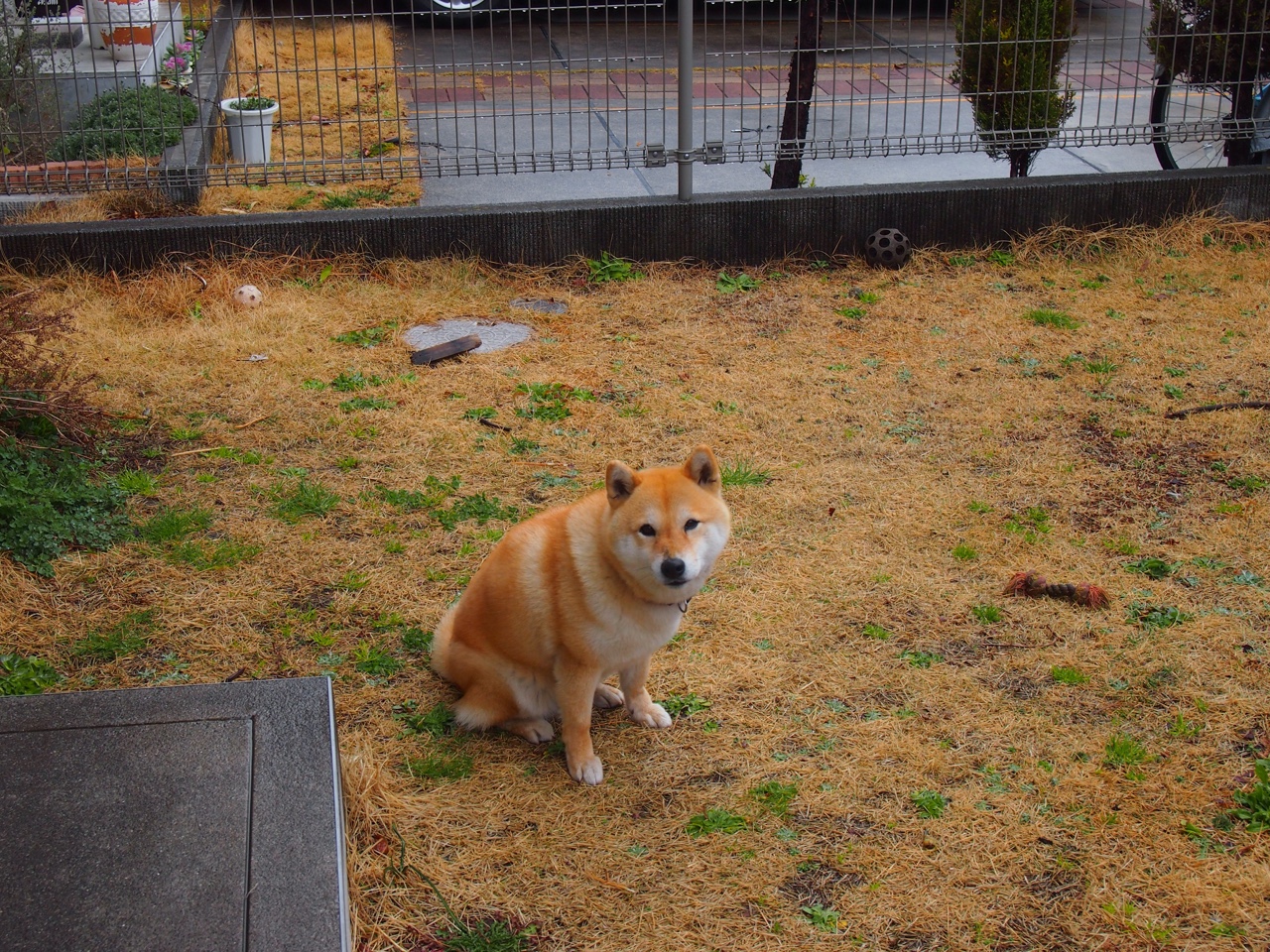 FB体育在线-五大联赛中下游球队是否易受心理波动影响表现,5大联赛球队