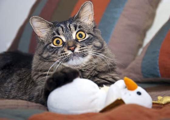 FB体育在线直播平台-五大联赛是否通过压迫位置错位制造反击漏洞,五大联赛打法