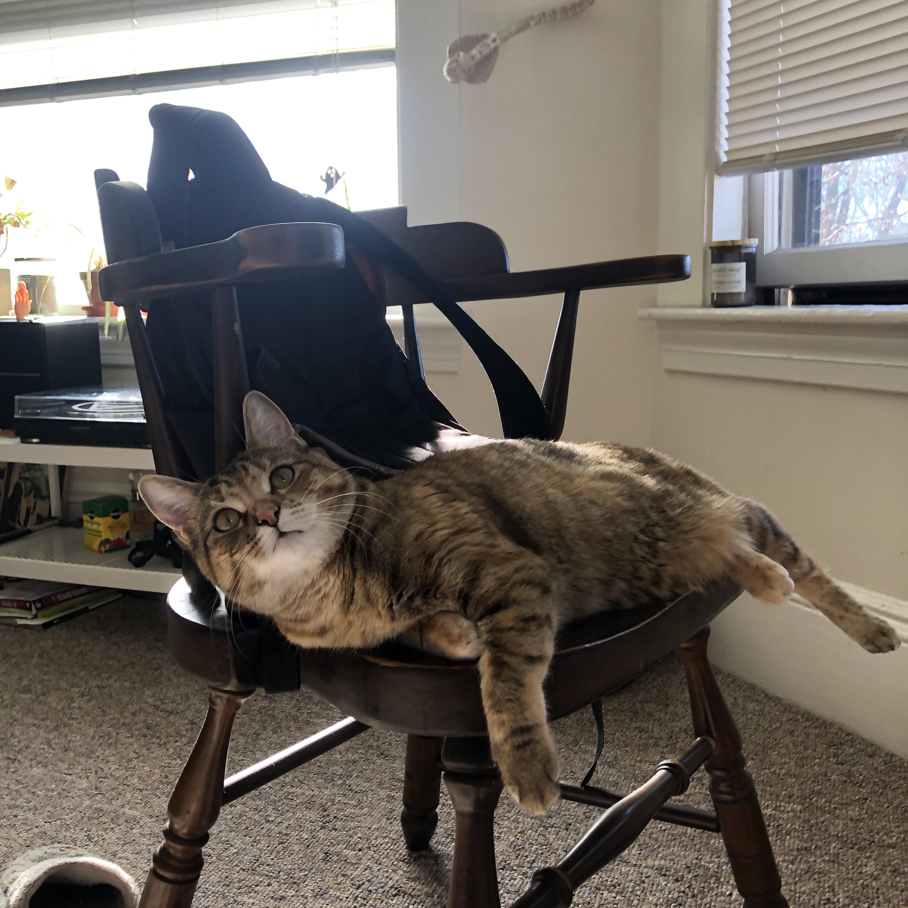 FB体育APP-五大联赛是否提升替补登场后十五分钟关键贡献占比,五大联赛落幕