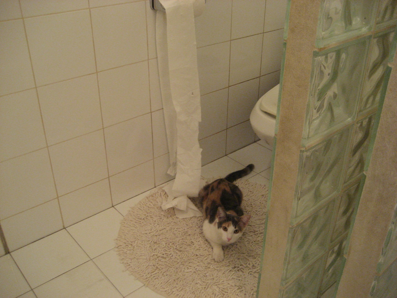 fb体育在线官网-体育新闻中心发布体育内容创作者激励政策细则,体育新闻作品