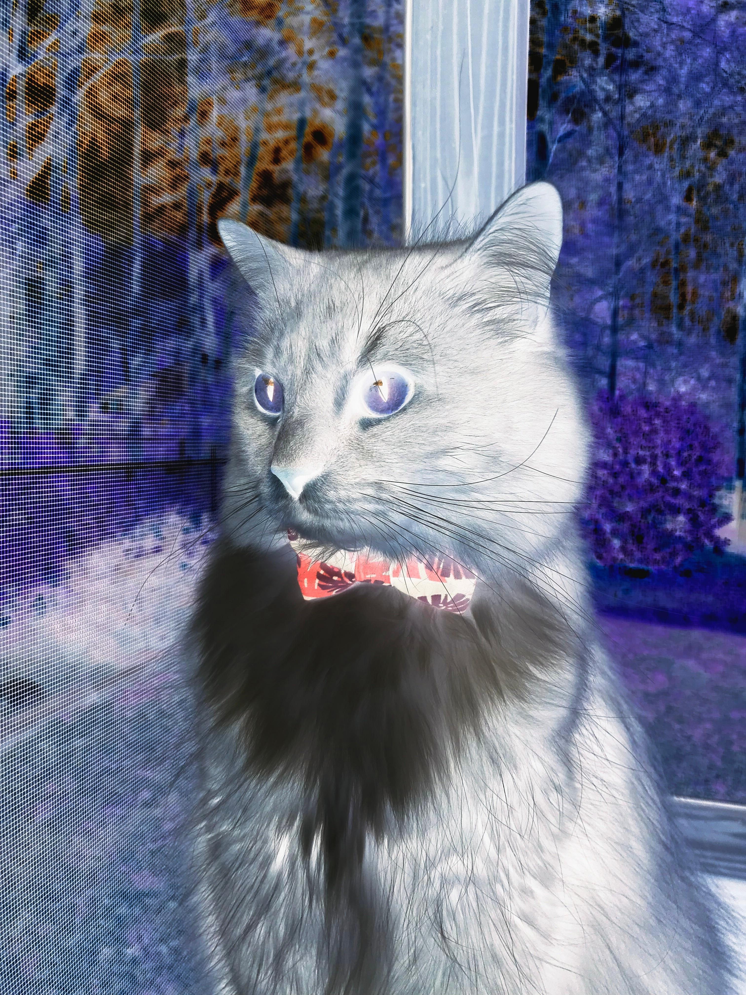 FB体育入口-兴隆湖上演水上马拉松速度盛宴,兴隆湖开了没