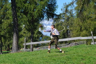 FB体育入口-兴隆湖上演水上马拉松速度盛宴,兴隆湖开了没