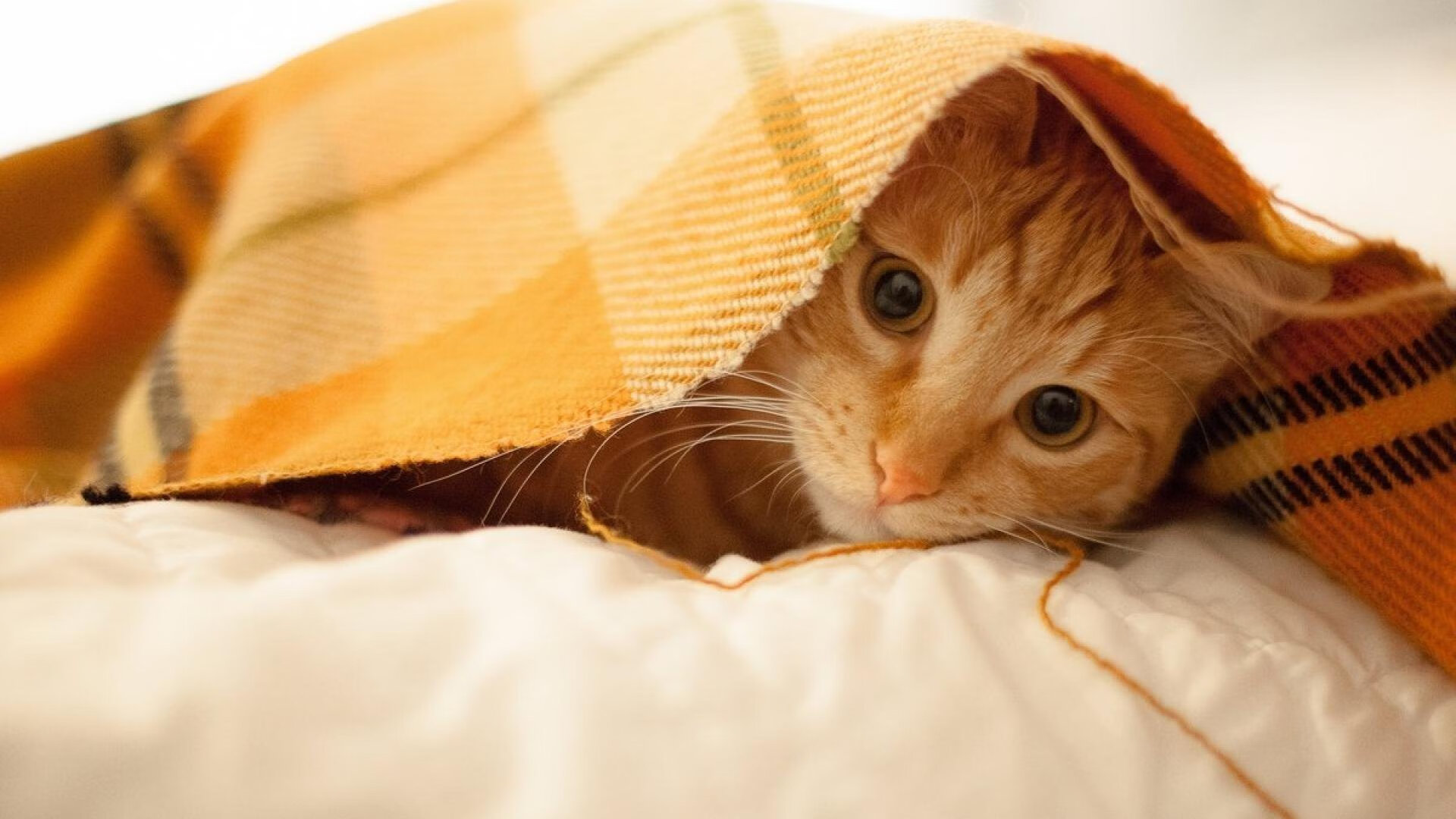 FB体育官网平台-前腰下沉组织串联攻防节奏,前腰组织进攻