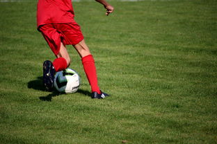 FBSPORTS-冬奥场馆智能系统协助运动员热身训练,冬奥会设备