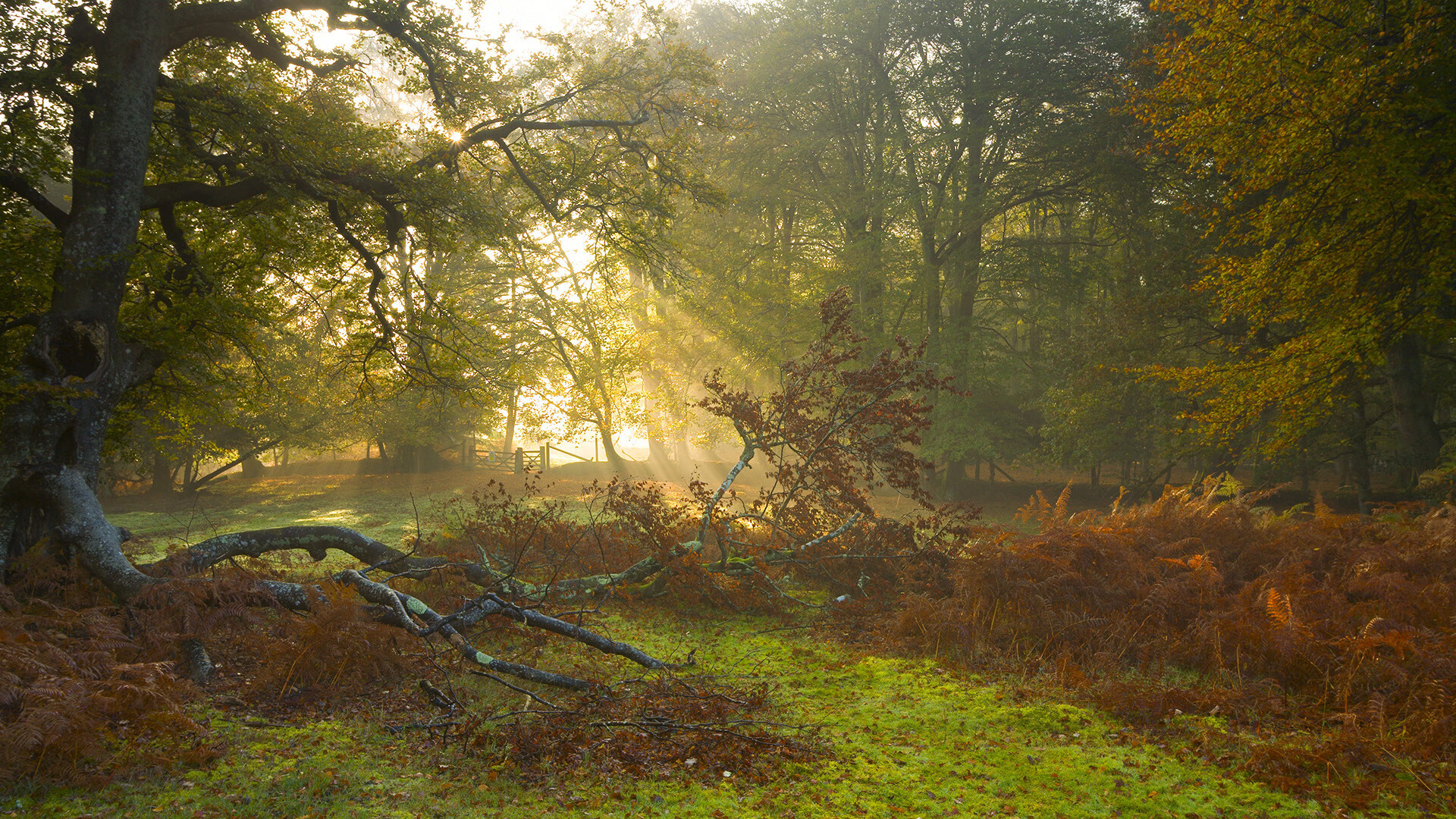 fb体育中国-压迫阵型推前,前锋积极回抢,前锋怎么压迫